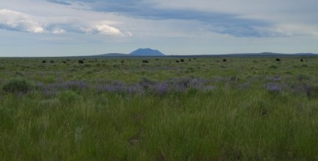 Day 4 Idaho Falls (7)