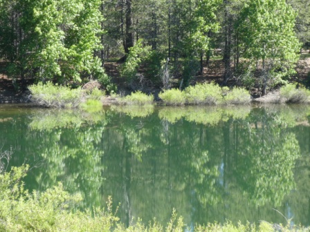 Donner Summit CA 6-18 (4)