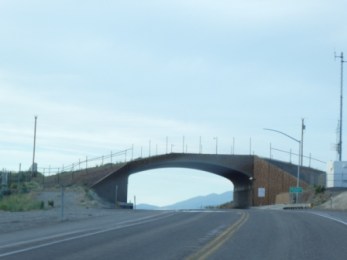 Drivng Thru Nevada Dessert 6-18 (25)