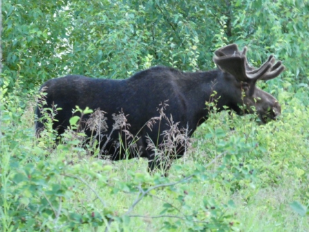 Day 20 Idaho Backroads 6-18 (67)