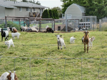 Day 21 Pasco WA 7-18 (1) - Copy