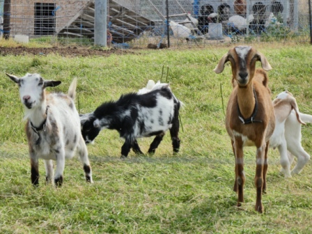 Day 21 Pasco WA 7-18 (2)