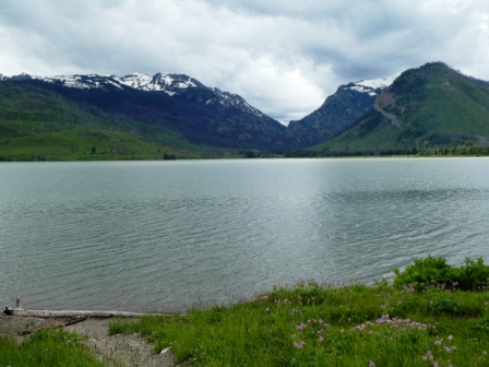 Day 8 Grand Tetons 6018 (45)